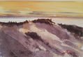 ATARDECER EN LAS DUNAS