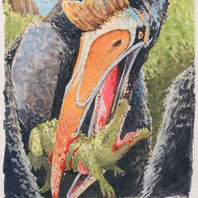 obra