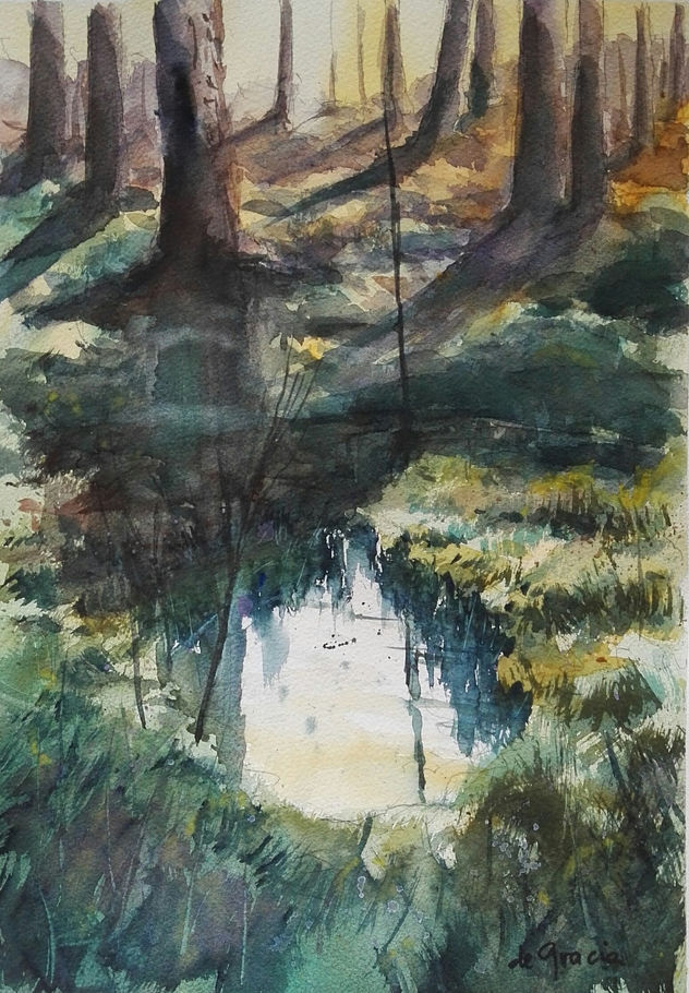 LA CHARCA