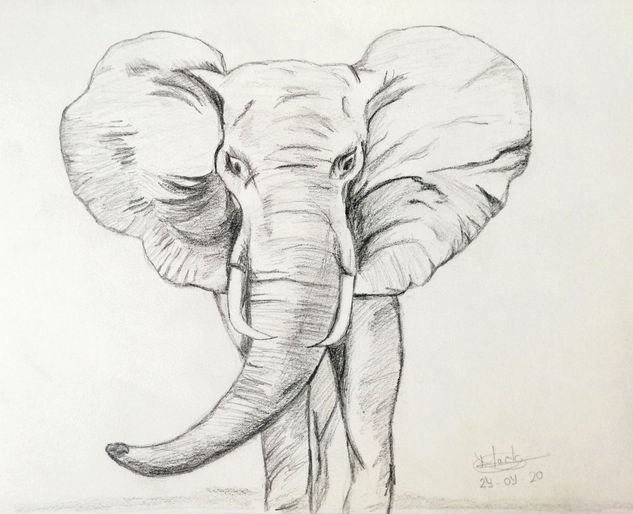 Elefante Pencil