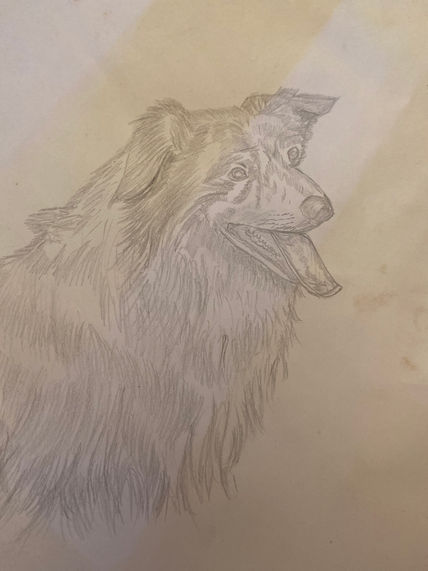 Perro