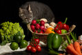 Bodegón con cesta, verduras y gato.