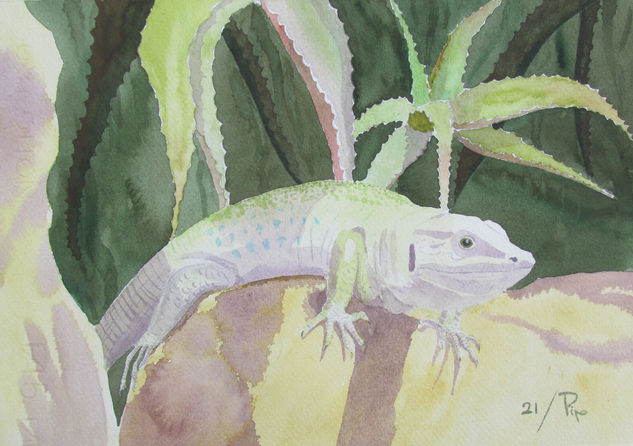 lagarto Watercolour Paper Animals