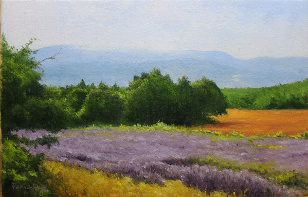 Lavanda Oil Canvas Landscaping