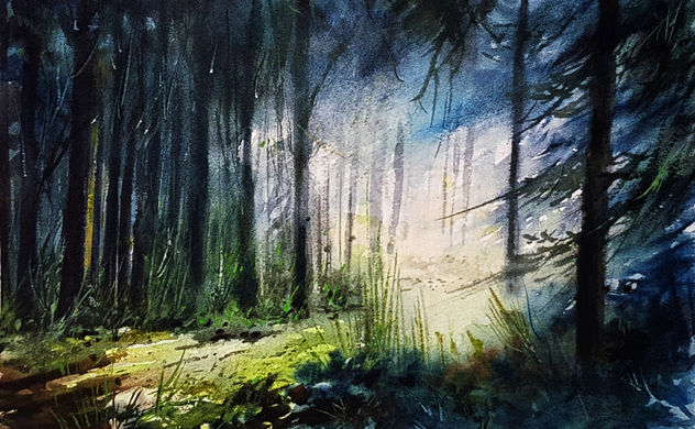 LUZ EN EL BOSQUE