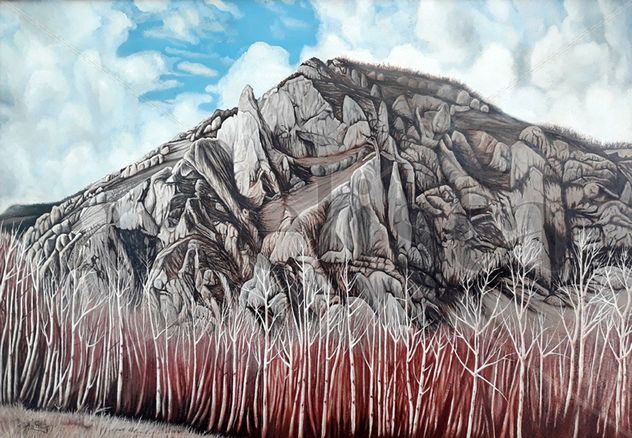The birch from Trascau Mountains