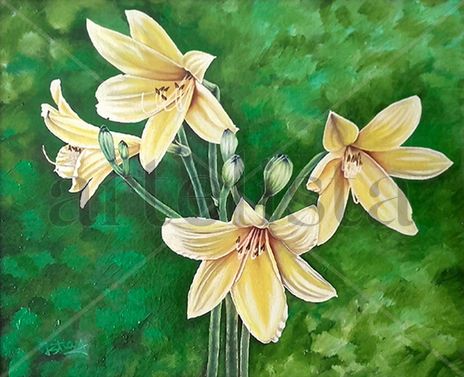 The Royal Lilly