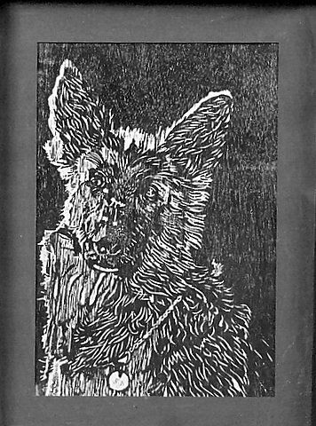 Perro