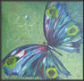 MARIPOSA AZUL