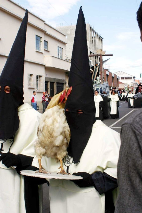 El Gallo de la Verdad