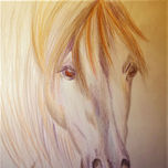 CABALLOS thumbnail 2