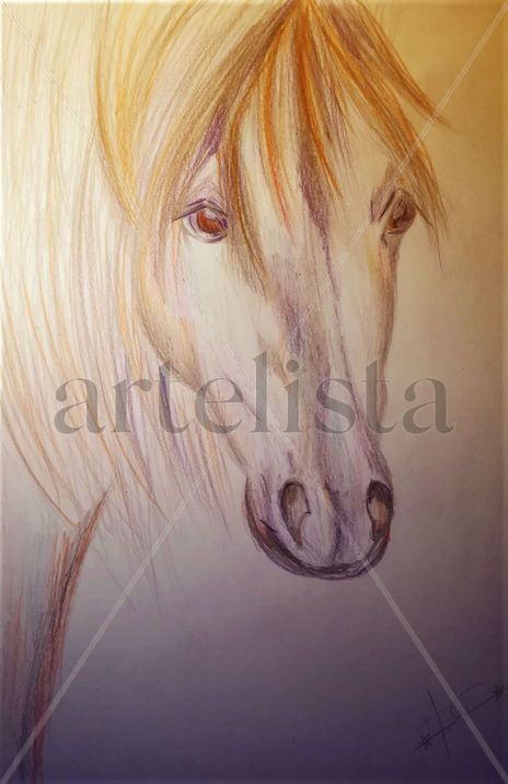 Caballo pura raza i