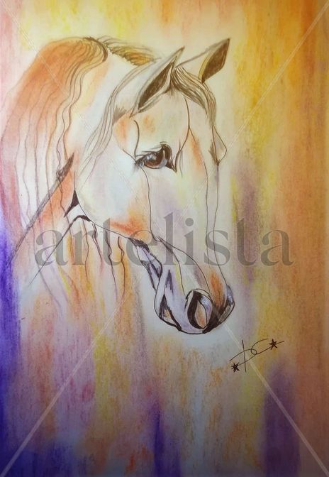 Caballos andaluces ii