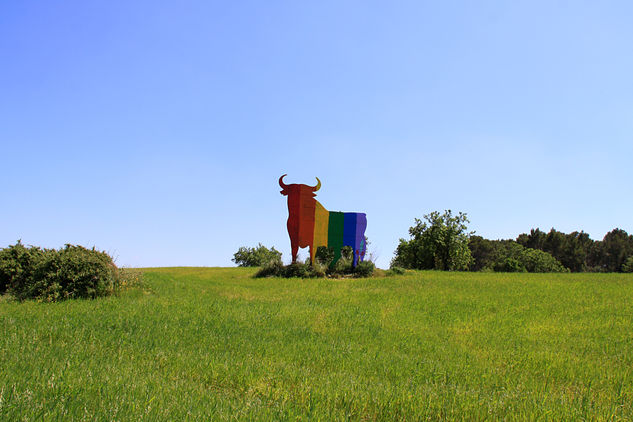 El Toro Gay Otras temáticas Color (Química)