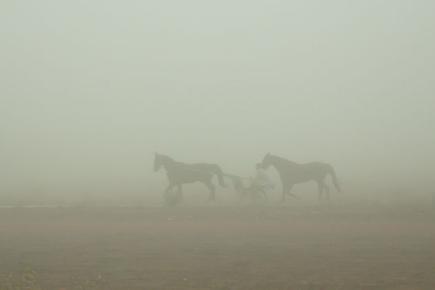 Caballos en la niebla Otras temáticas Color (Química)