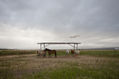 Caballos y aviones