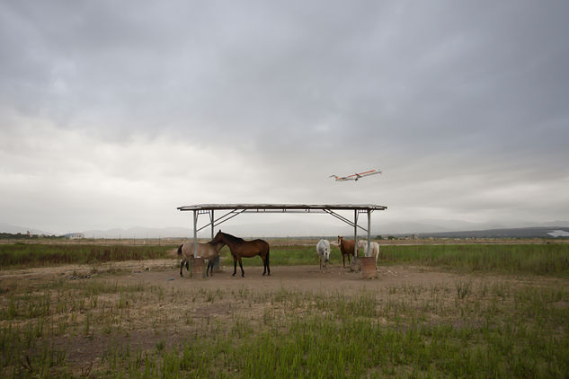 Caballos y aviones Otras temáticas Color (Química)