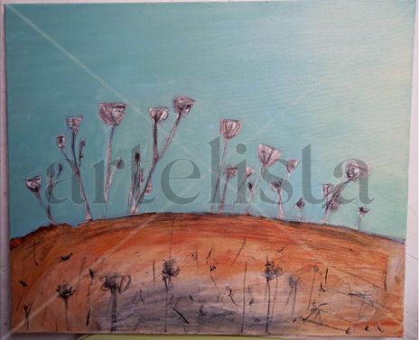 Daucus Carota 01