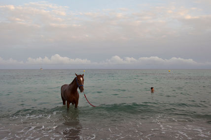 El caballo