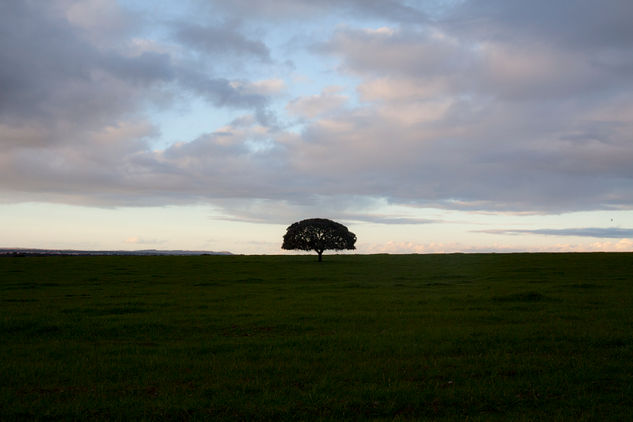 Extremadura Naturaleza Color (Química)