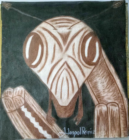 Visage visitante\...