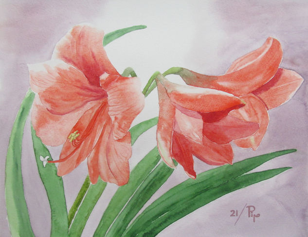 amarilis Watercolour Paper Floral Painting