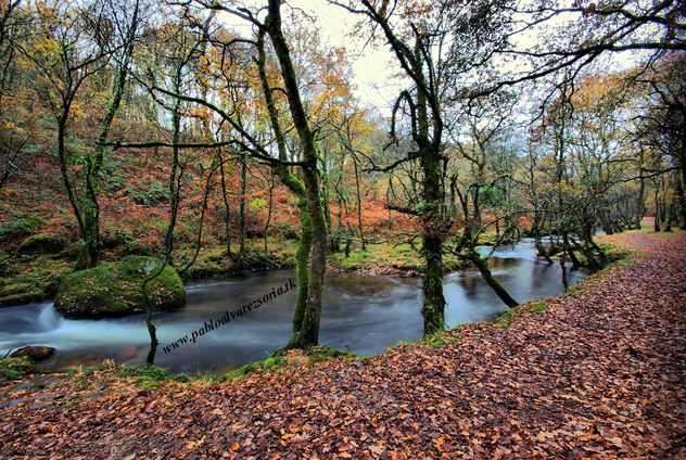 EL OTOÑO HA LLEGADO (II)