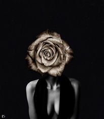 La Rosa II