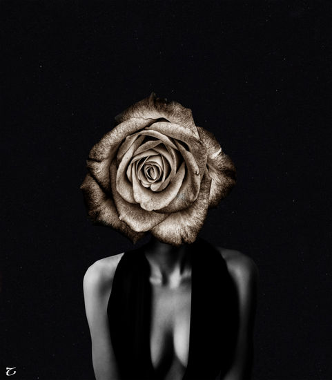 La Rosa II Otros Retrato
