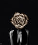 La Rosa I
