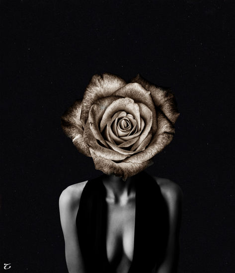 La Rosa I Otros Retrato