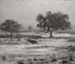Nieve en el Cerro del Hierro