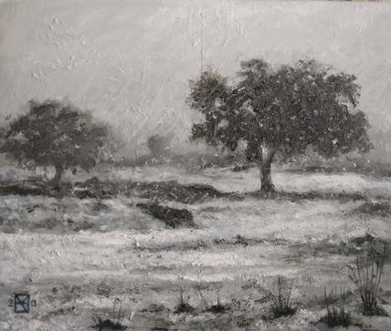 Nieve en el Cerro...