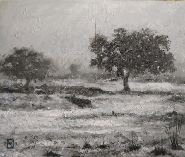Nieve en el Cerro del Hierro