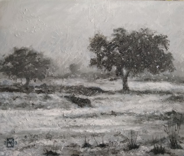 Nieve en el Cerro del Hierro Oil Canvas Landscaping