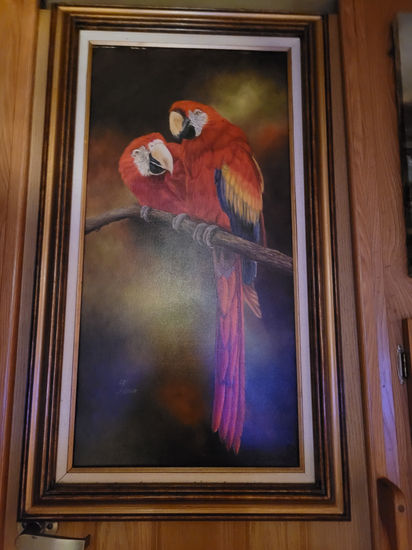 PARROTS Oil Canvas Animals