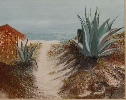 Duna mediterránea