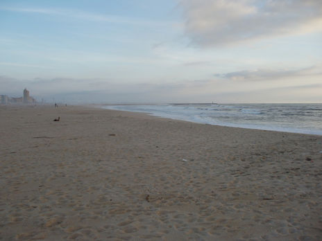 "Playa desertica de...