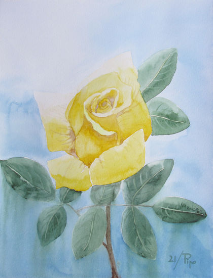 rosa amarilla Watercolour Paper Floral Painting