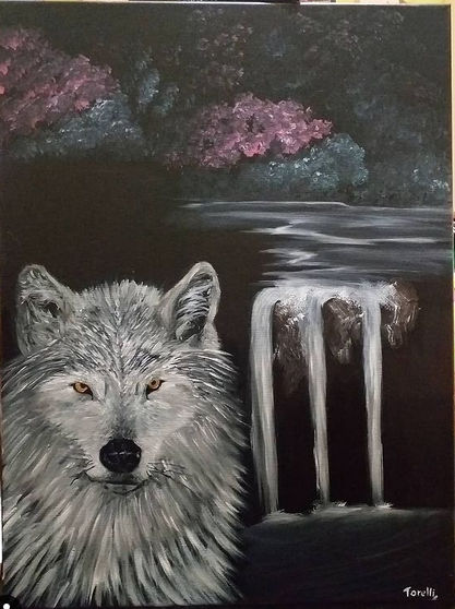 Canis lupus arctos