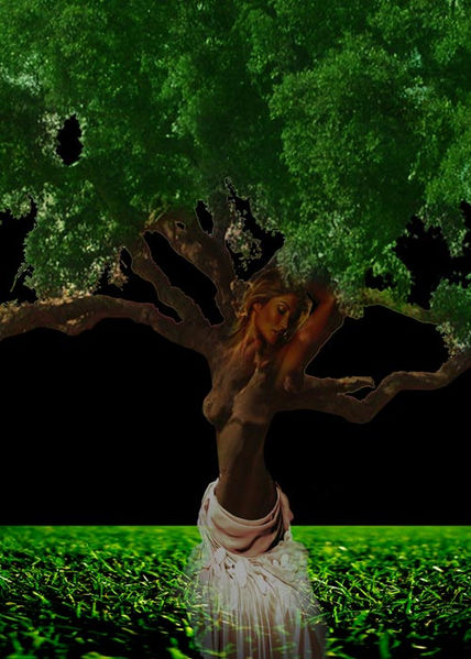 Dama del arbol