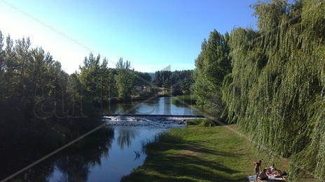 Paisaje 1