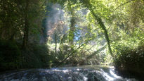 Monasterio de piedra 6