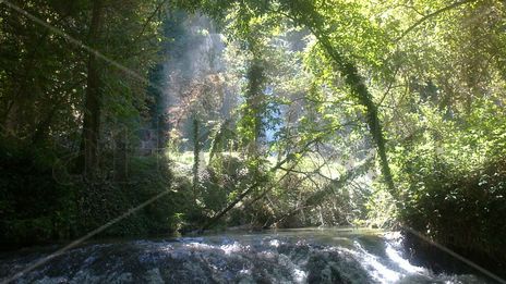 Monasterio de piedra 6