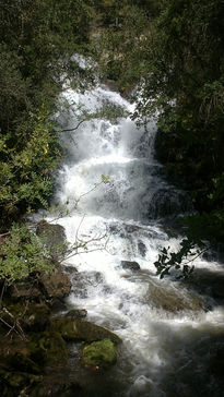 Río 1