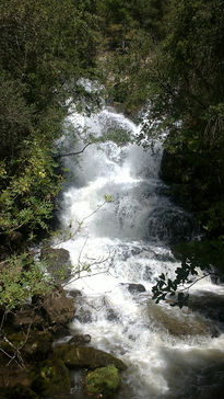 Río 2