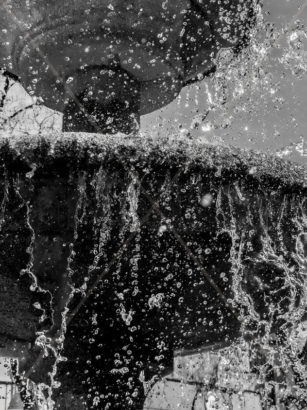 Fuente en Blanco y Negro