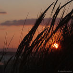 Natura thumbnail 1