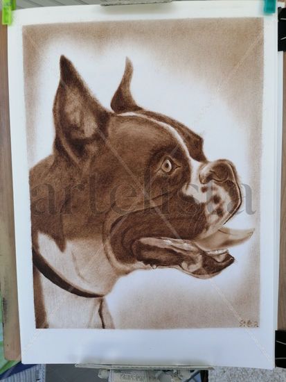 Boxer Oil Paper Portrait