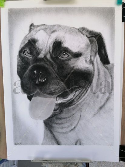 Bullmastiff Oil Paper Figure Painting